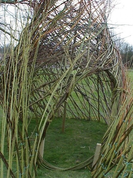 one of the pods in the maze