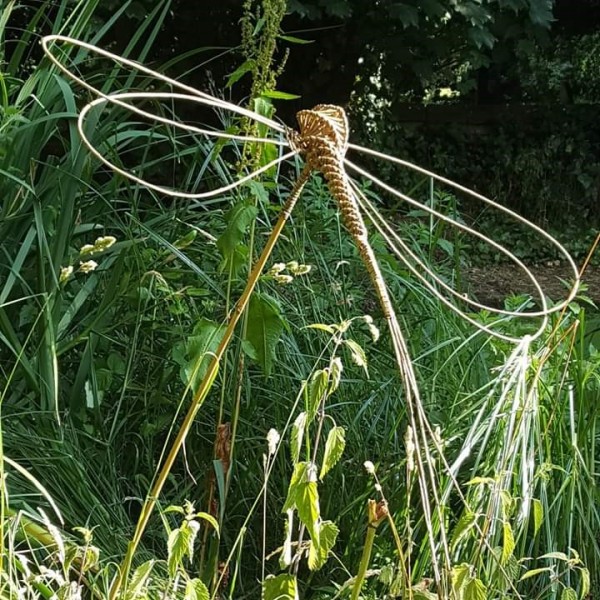 dragonfly, willow, weaving, Essex, Chelmsford, Braintree, Suffolk, 