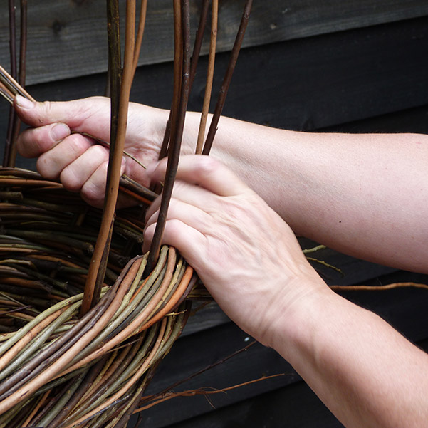 Basket making with willow